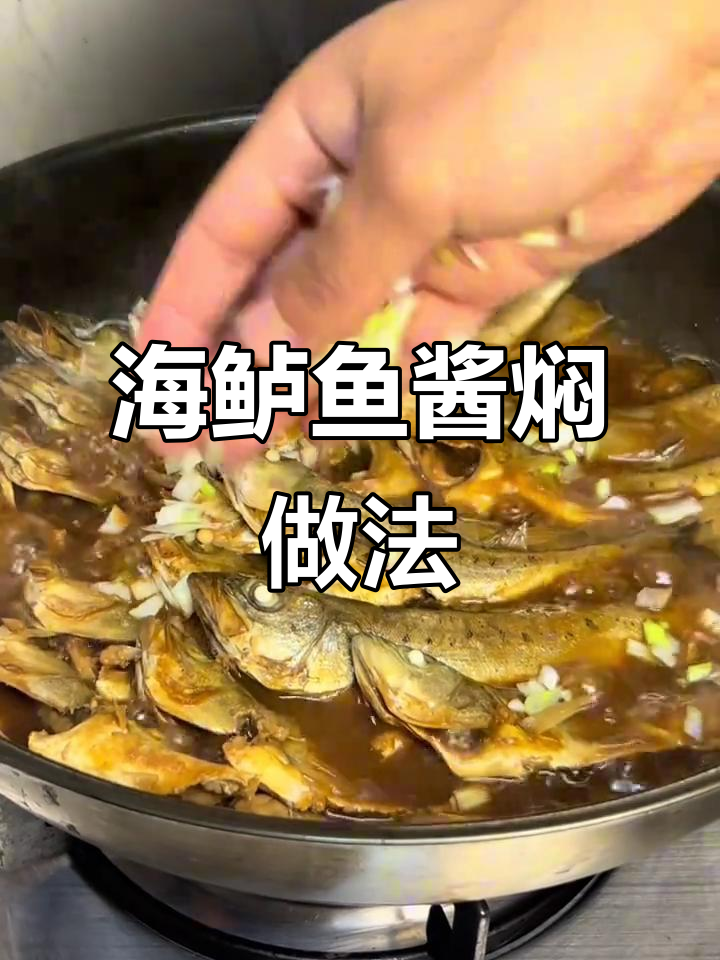 酱焖海鲈鱼,简单又美味!教你轻松做出餐厅级美食