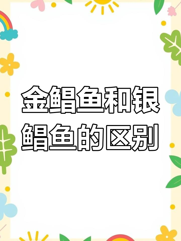 金鲳鱼与银鲳鱼的三大区别