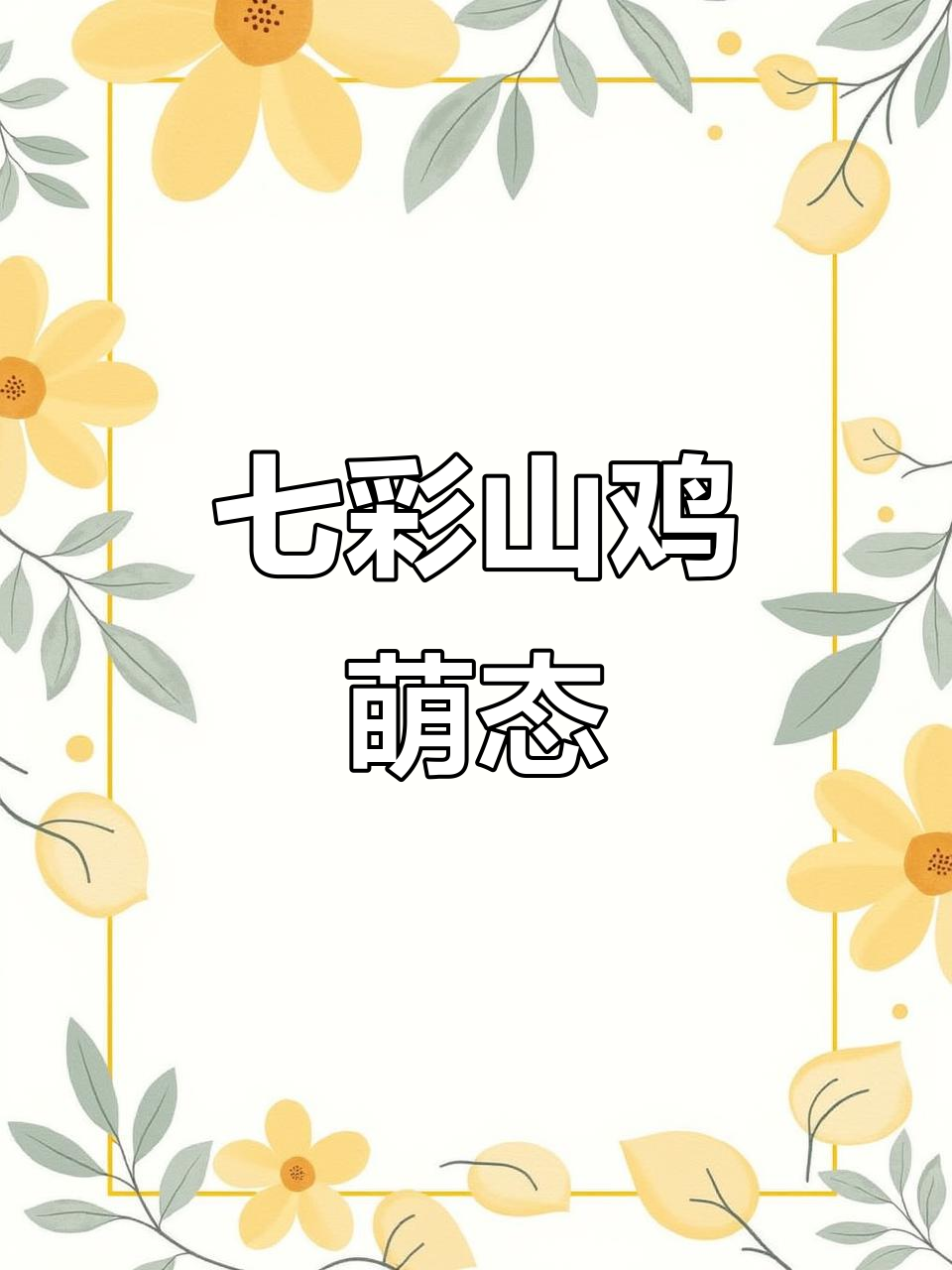 七彩山鸡养殖趣事,妈妈的声音太可爱了