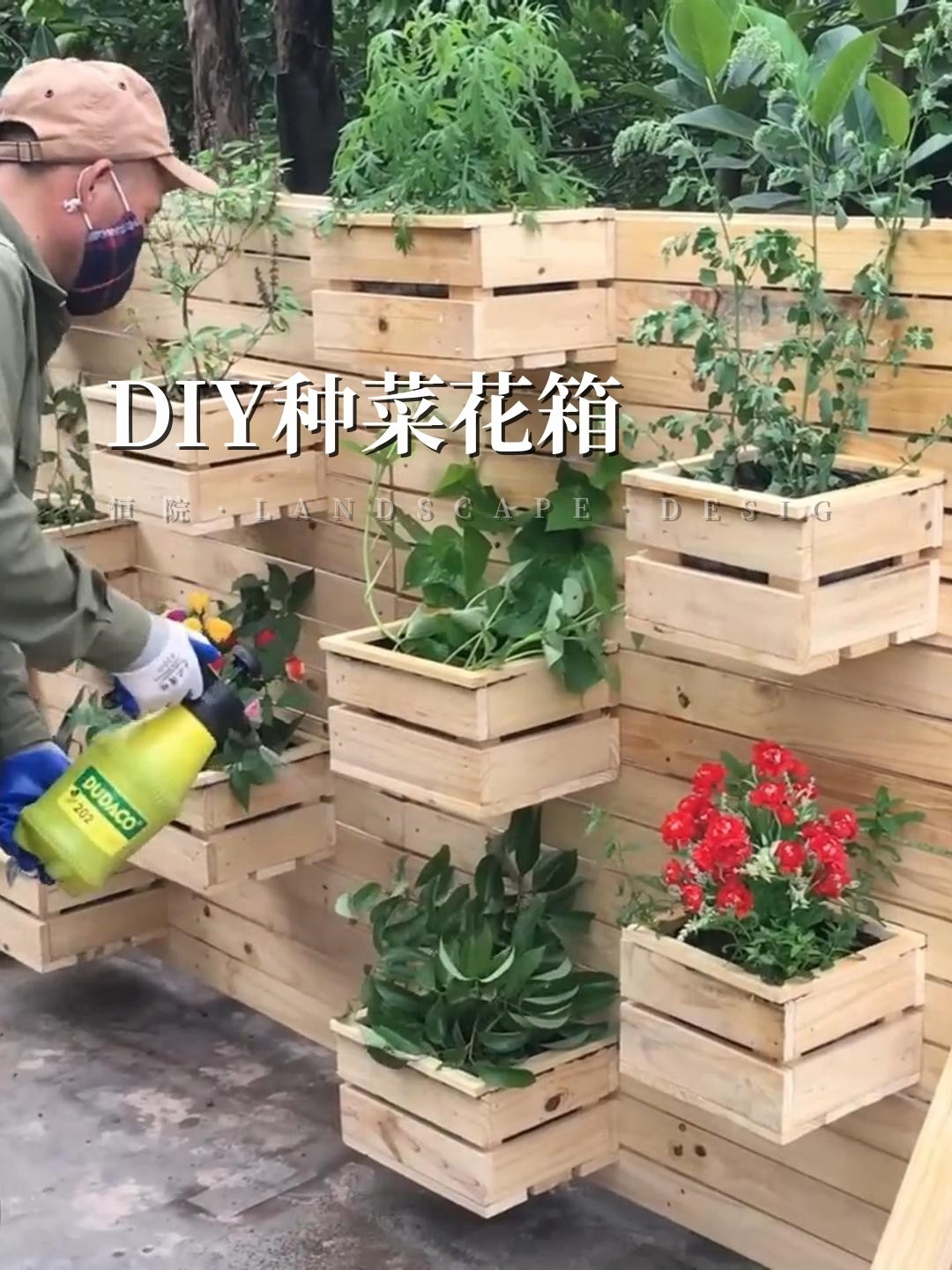 用木头自制种植箱,秒变花园“种菜神器”