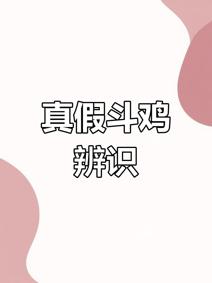 老铁买错斗鸡，土鸡混杂，新手必看辨别技巧！