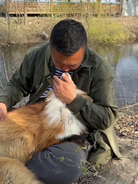 白鹅孤影水中游,不是缘分莫强求,感谢播间父母心,柴米油盐全靠金。感恩家人们对海龙的支持