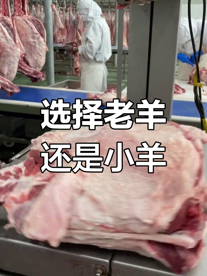 老羊肉与羔羊肉的区别解析