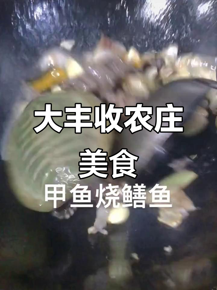 武汉新洲大丰收农庄:甲鱼鳝鱼的绝妙搭配,美味满满