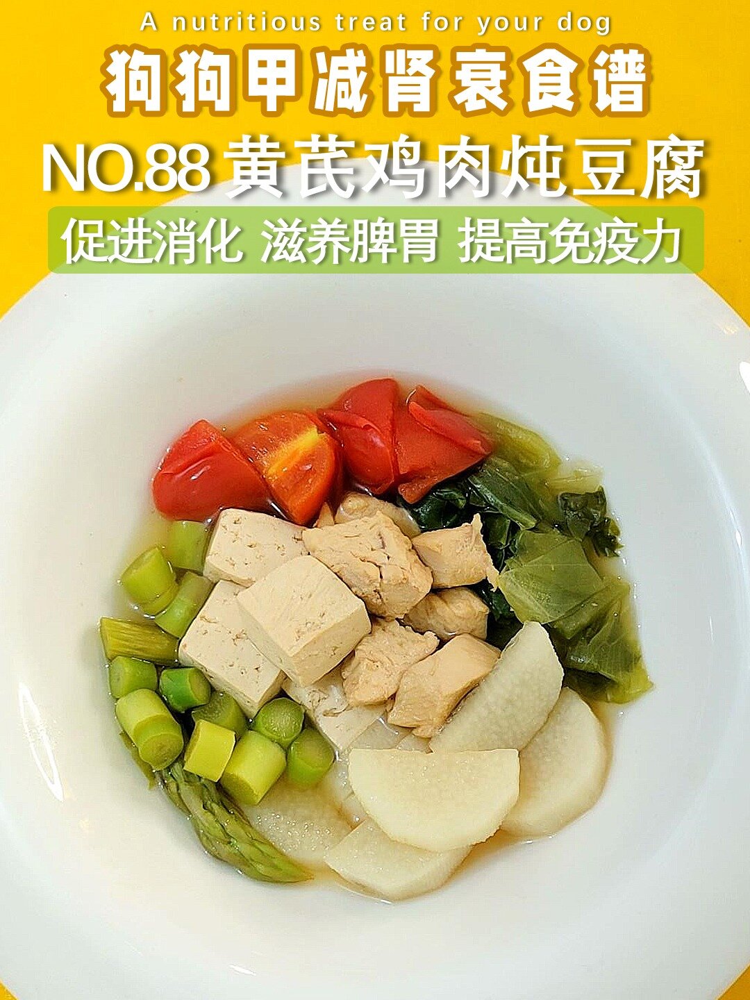 NO.88调养狗狗甲减肾衰的营养食谱