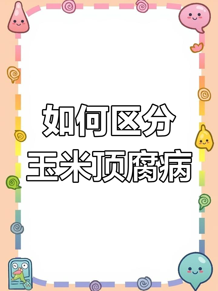 玉米顶腐病与卷芯区别,如何判断病害程度