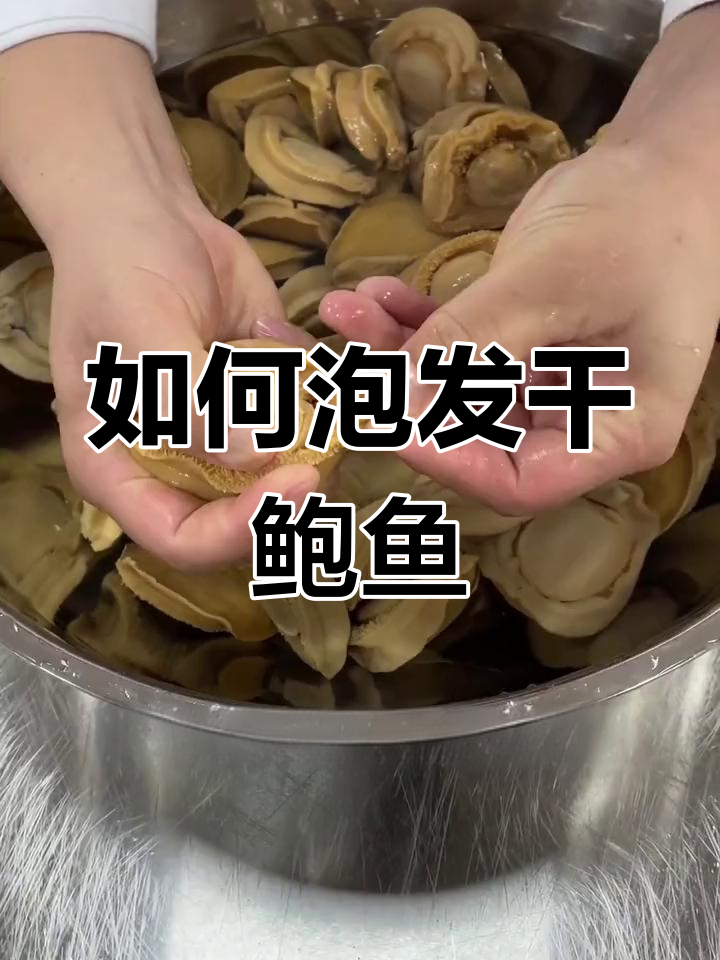 干鲍鱼泡发全攻略
