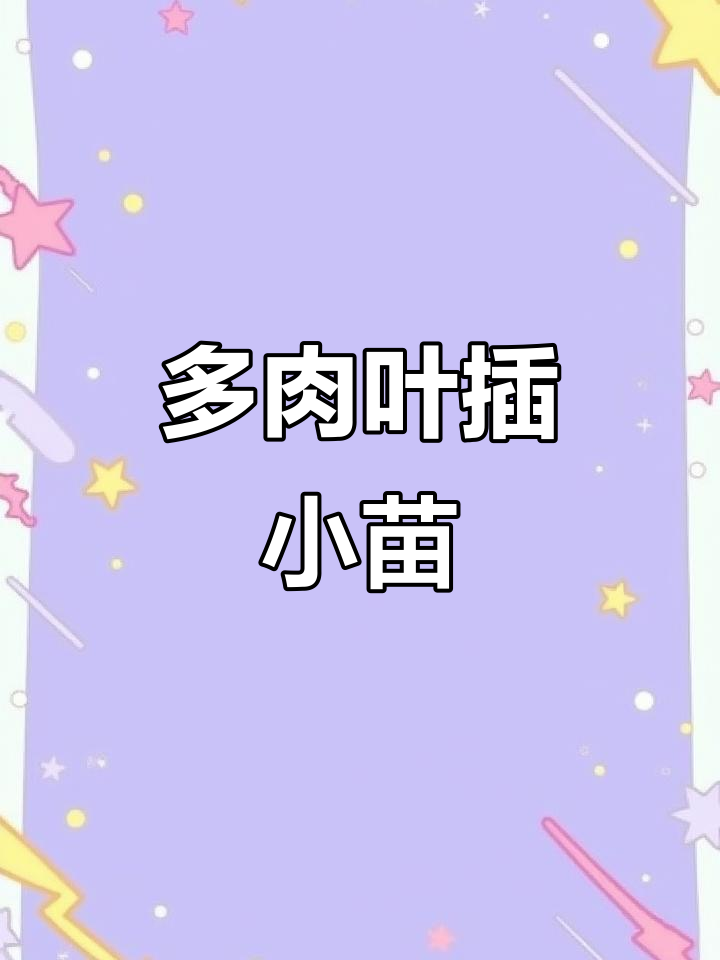 叶插多肉,彩虹奶酪萌苗来袭