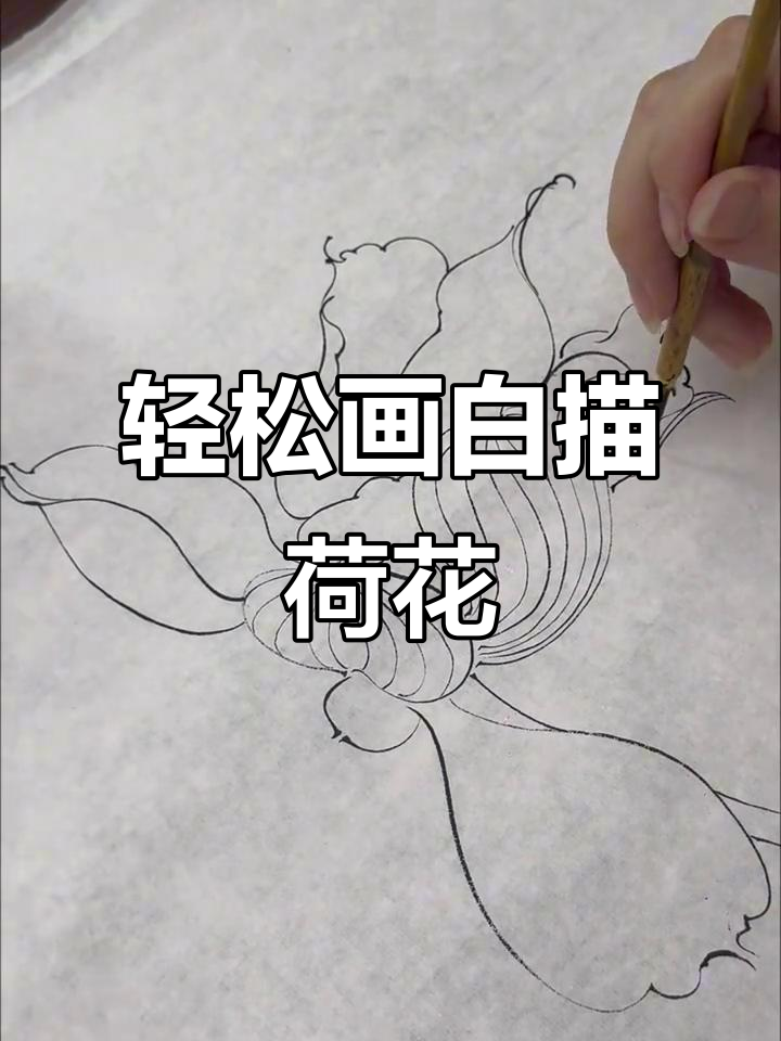 白描荷花:线条流畅,心境自然