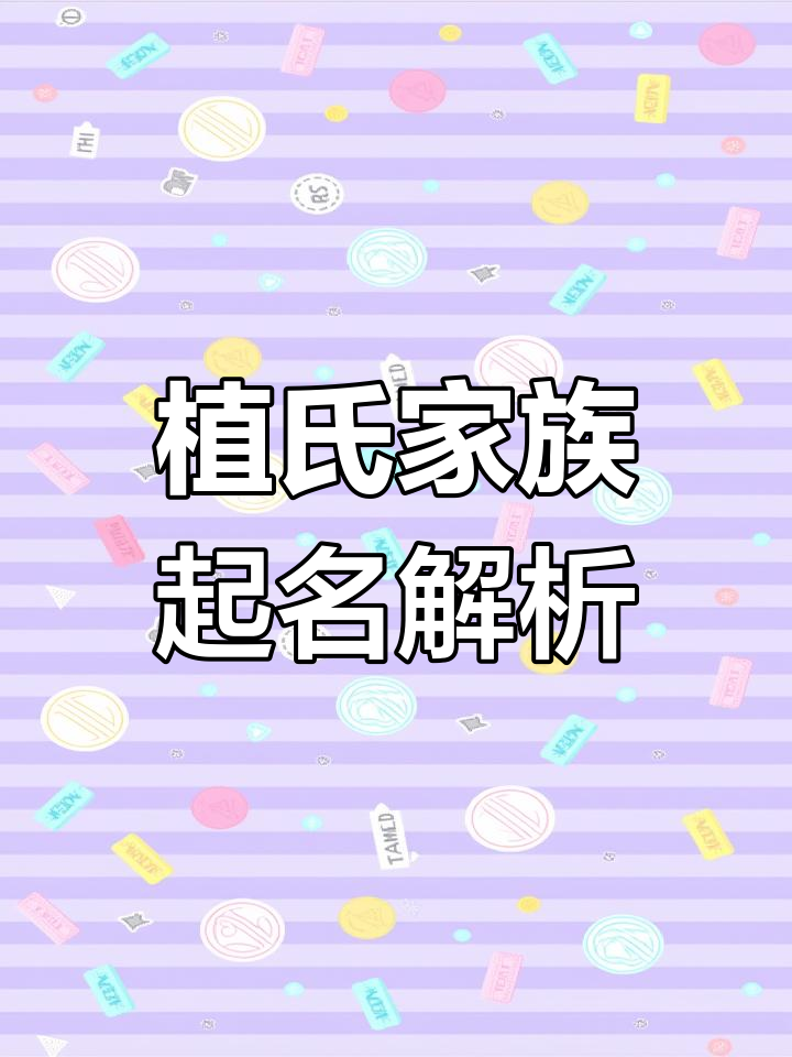 植氏家族的起名智慧与文化传承