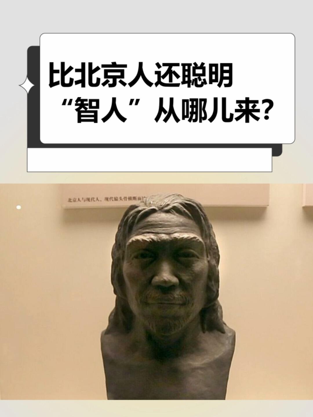 智人从哪儿来?