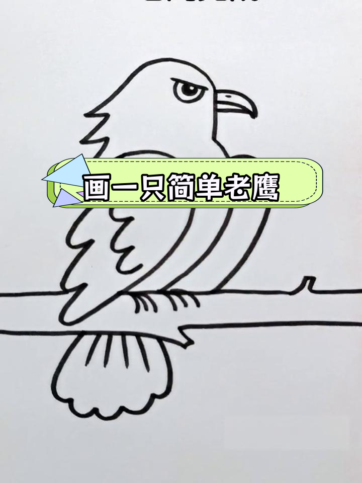 用数字绘制老鹰简笔画