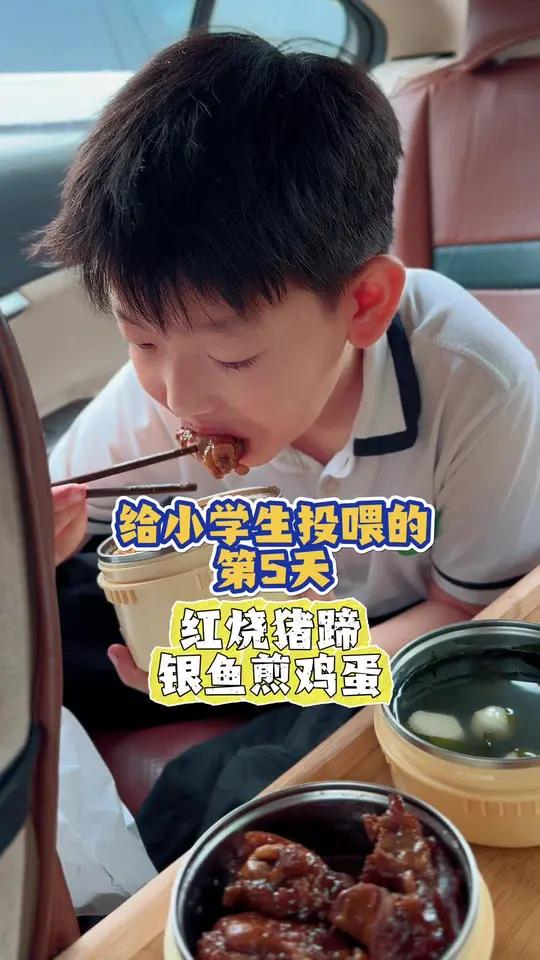 给小学生投喂第四期第5集|红烧猪蹄、银鱼煎鸡蛋、裙带菜鱼丸汤、干锅花菜!