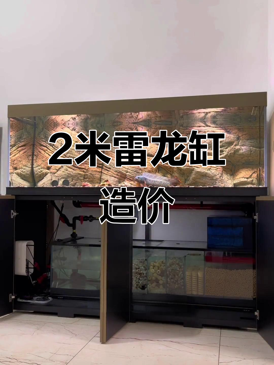 2米雷龙缸配置与价格大揭秘，打造专属观赏鱼环境