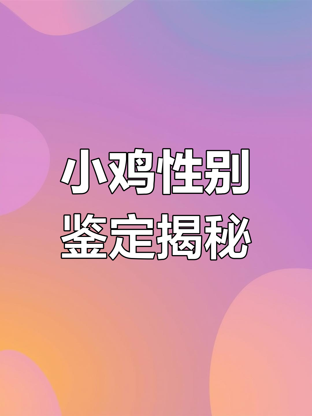 养鸡场如何鉴定小鸡性别