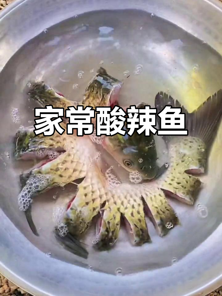 酸辣鱼,汤浓味美,鱼肉嫩滑,家常做法轻松学会!