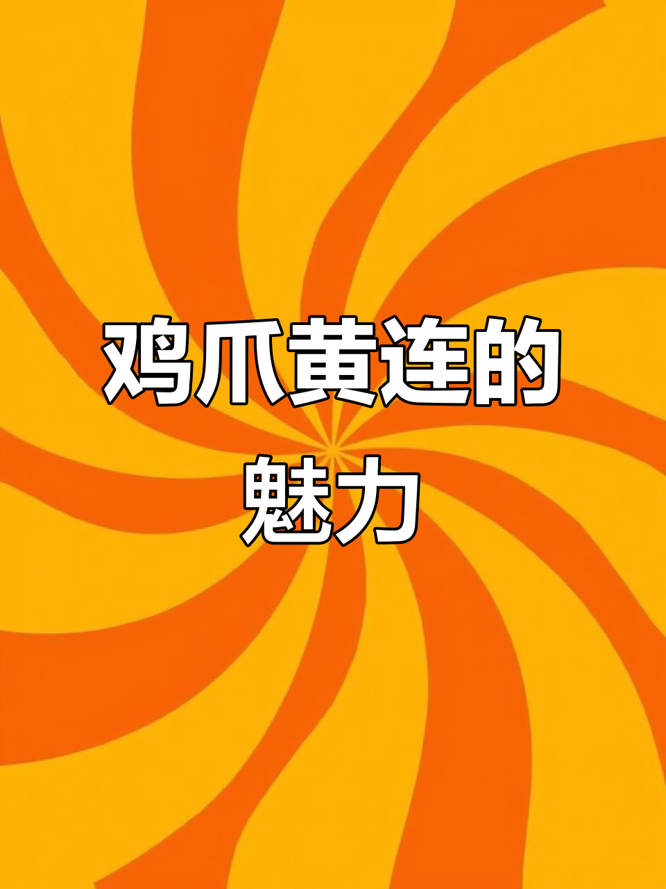 鸡爪黄连:从颜值到健康,你值得拥有