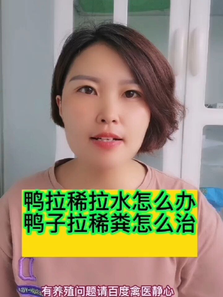 禽医静心谈鸭拉稀水怎么办鸭子拉稀粪怎么治
