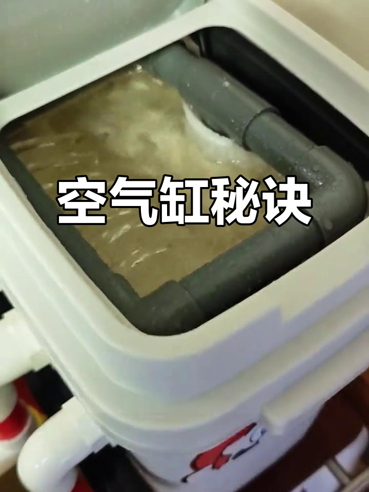 自制茶水桶过滤,三天让鱼缸如新!