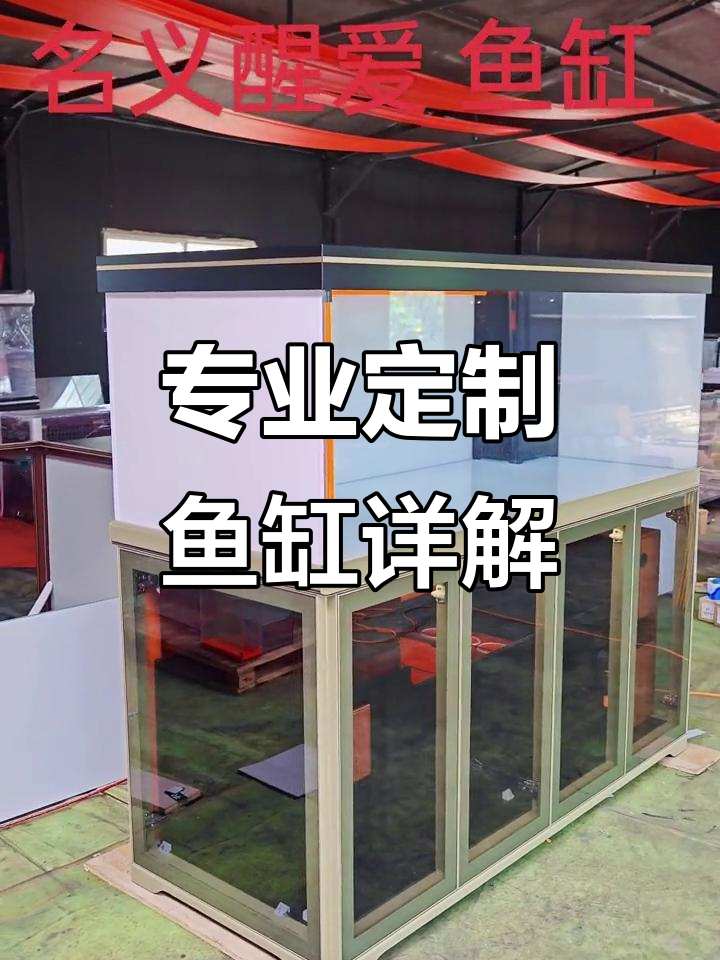 定制鱼缸大揭秘:从玻璃到过滤全解析