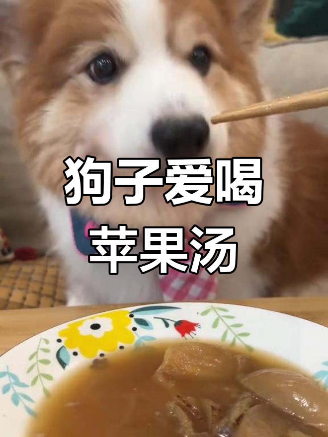苹果无花果海底椰汤,柯基最爱喝的营养美味