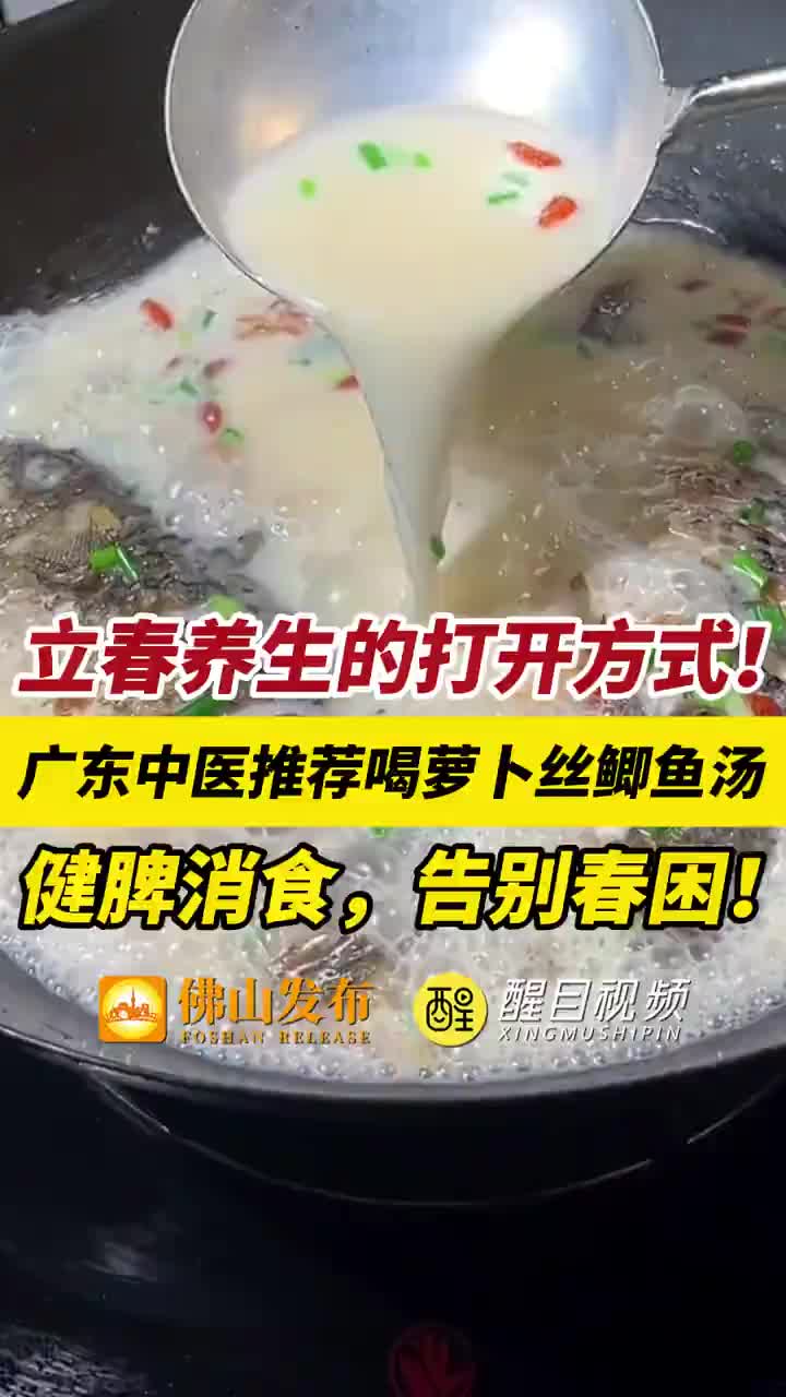 「视频」立春养生的打开方式！广东中医推荐喝萝卜丝鲫鱼汤，健脾消食，告别春困！
