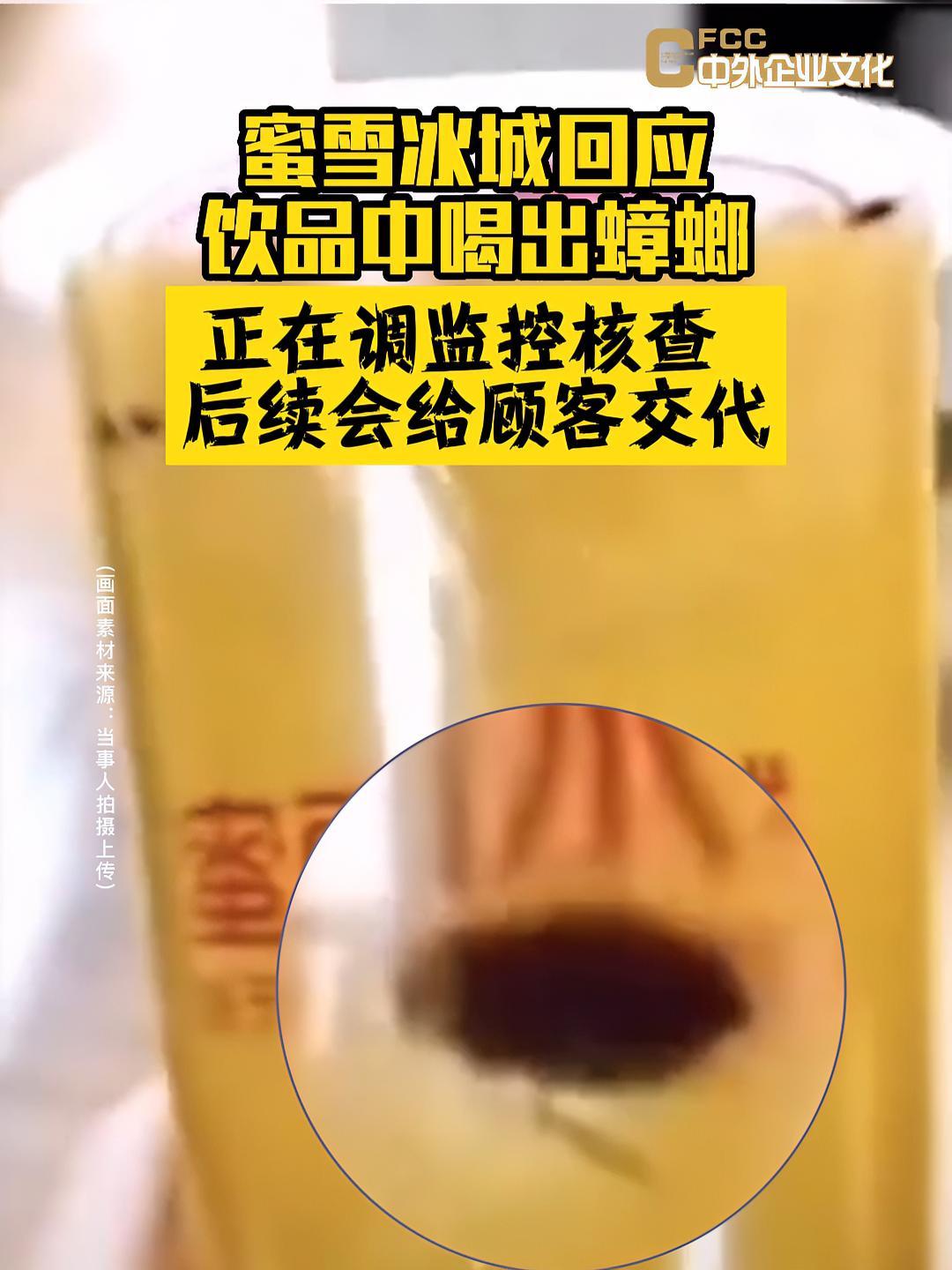 蜜雪冰城回应饮品中喝出蟑螂:“正在调监控核查,后续会给顾客交代”