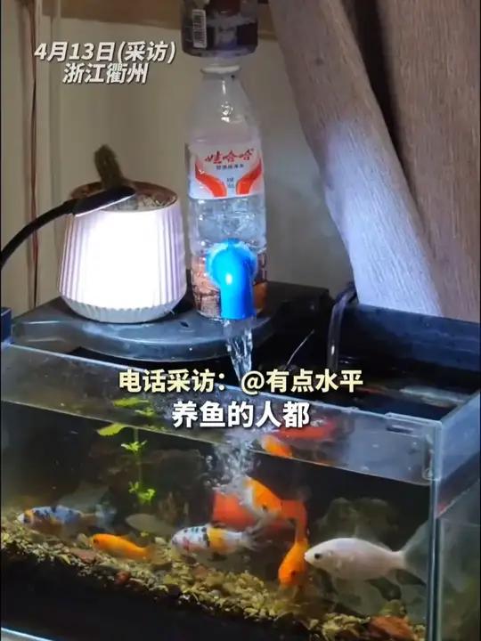 男子自制超高鱼缸过滤器,网友:这是真正的“天花板”(来源:池州新闻)