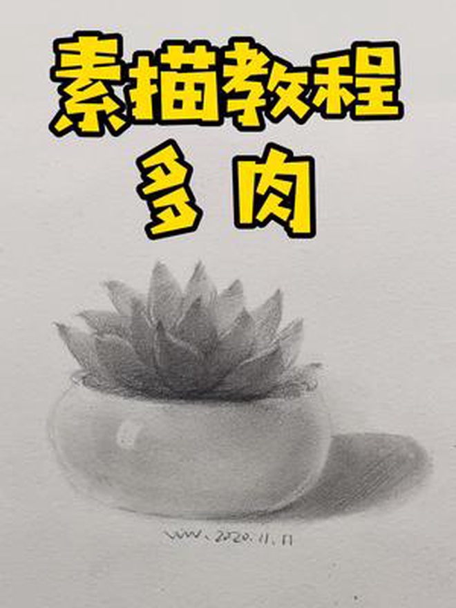 圆润饱满可爱动人的素描多肉教程来啦!