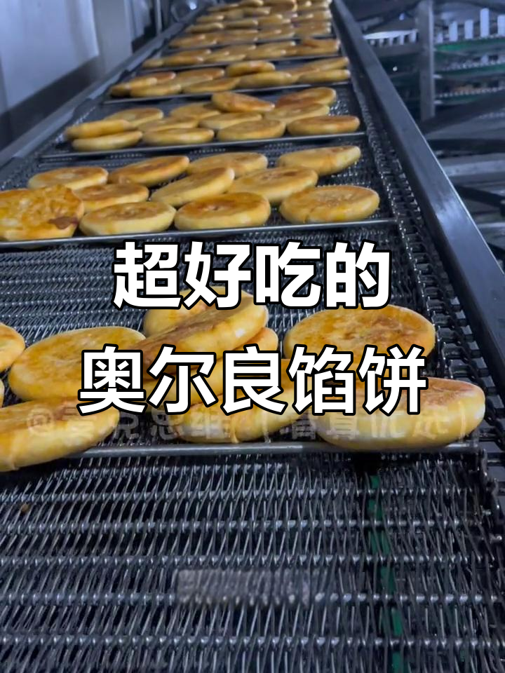 奥尔良鸡肉馅饼,外焦里嫩,一口接一口停不下来