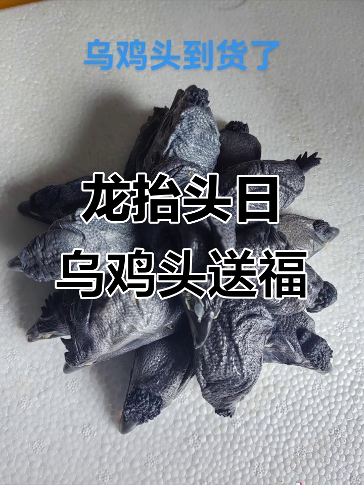 乌鸡头到货,龙抬头日送上好运,愿你财运滚滚来