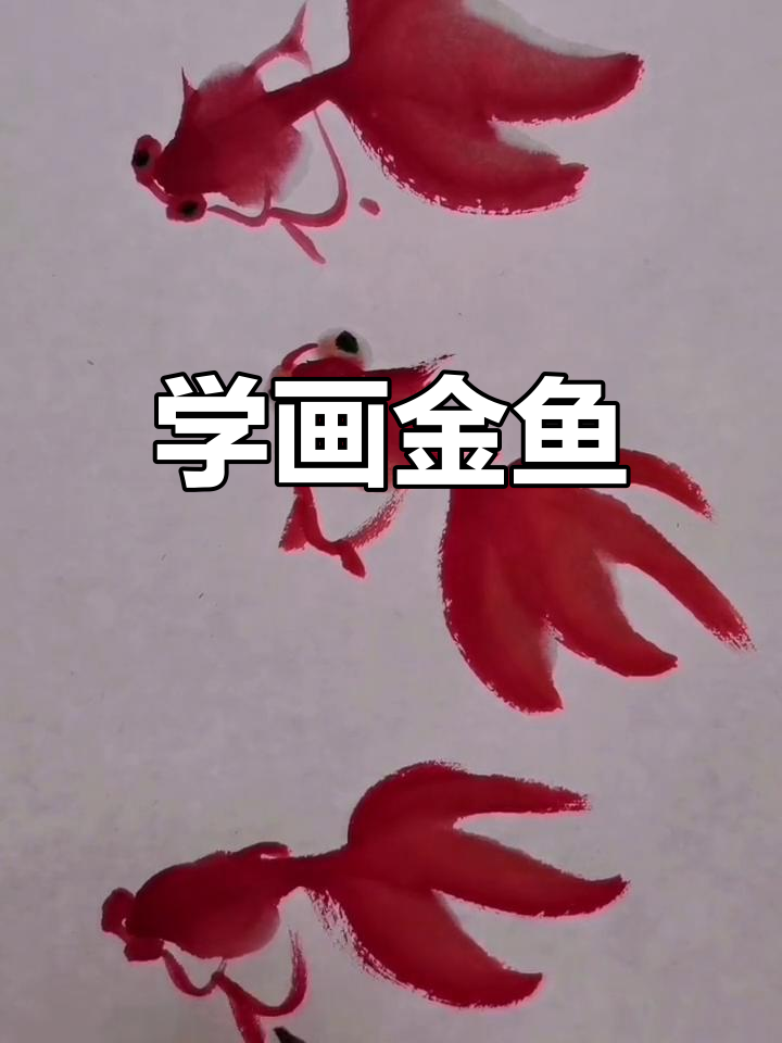 零基础学国画:轻松画出可爱金鱼,步骤详解