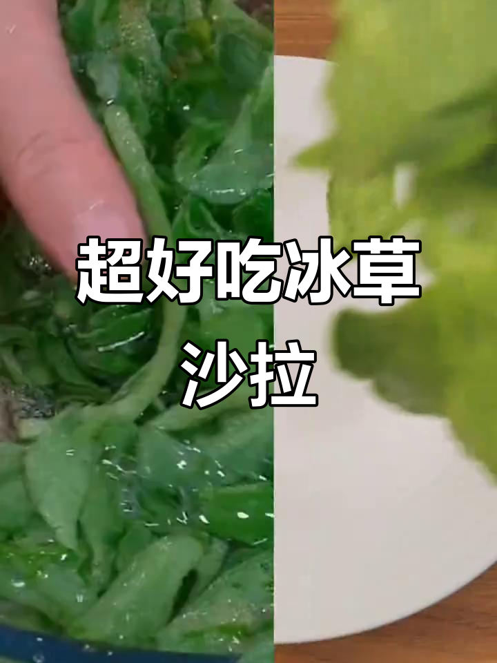 冰草沙拉做法超简单,清脆爽口又美味