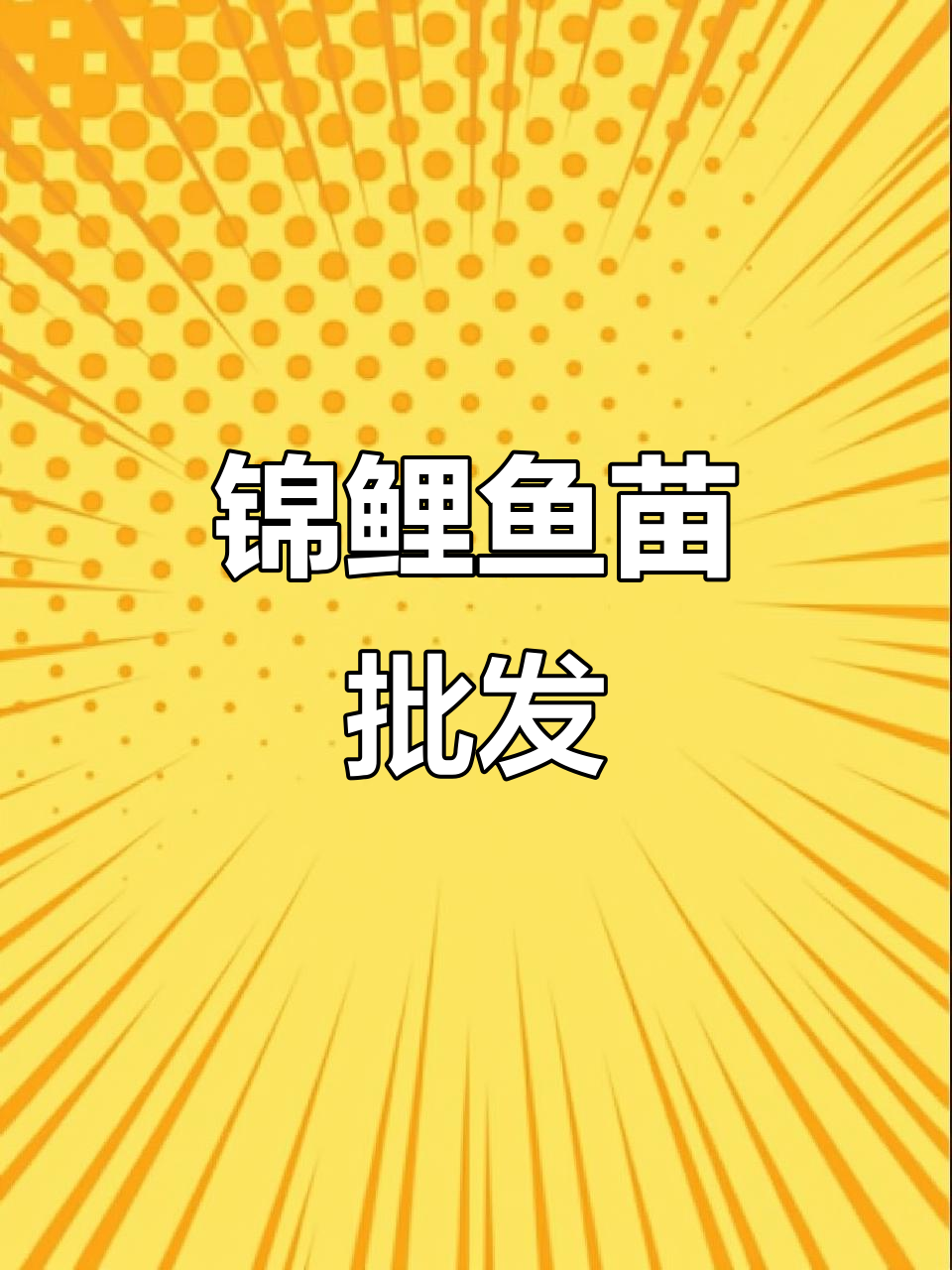优质锦鲤鱼苗,批发供应,广州深圳多地可选