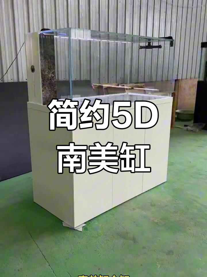 极简风格5D南美缸,定制专属鱼缸体验
