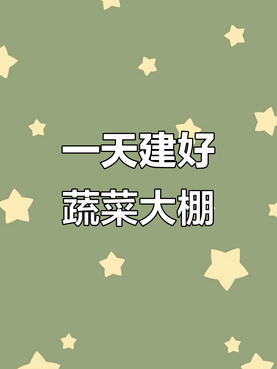 一天搭建一栋蔬菜大棚,12米宽30米长,骨架稳固高效