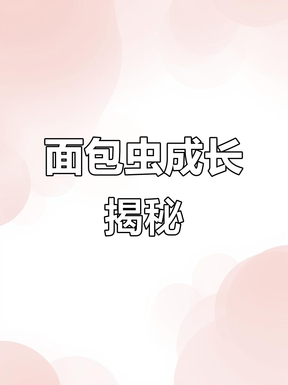 面包虫成长全纪录:从幼小到成虫的蜕变过程