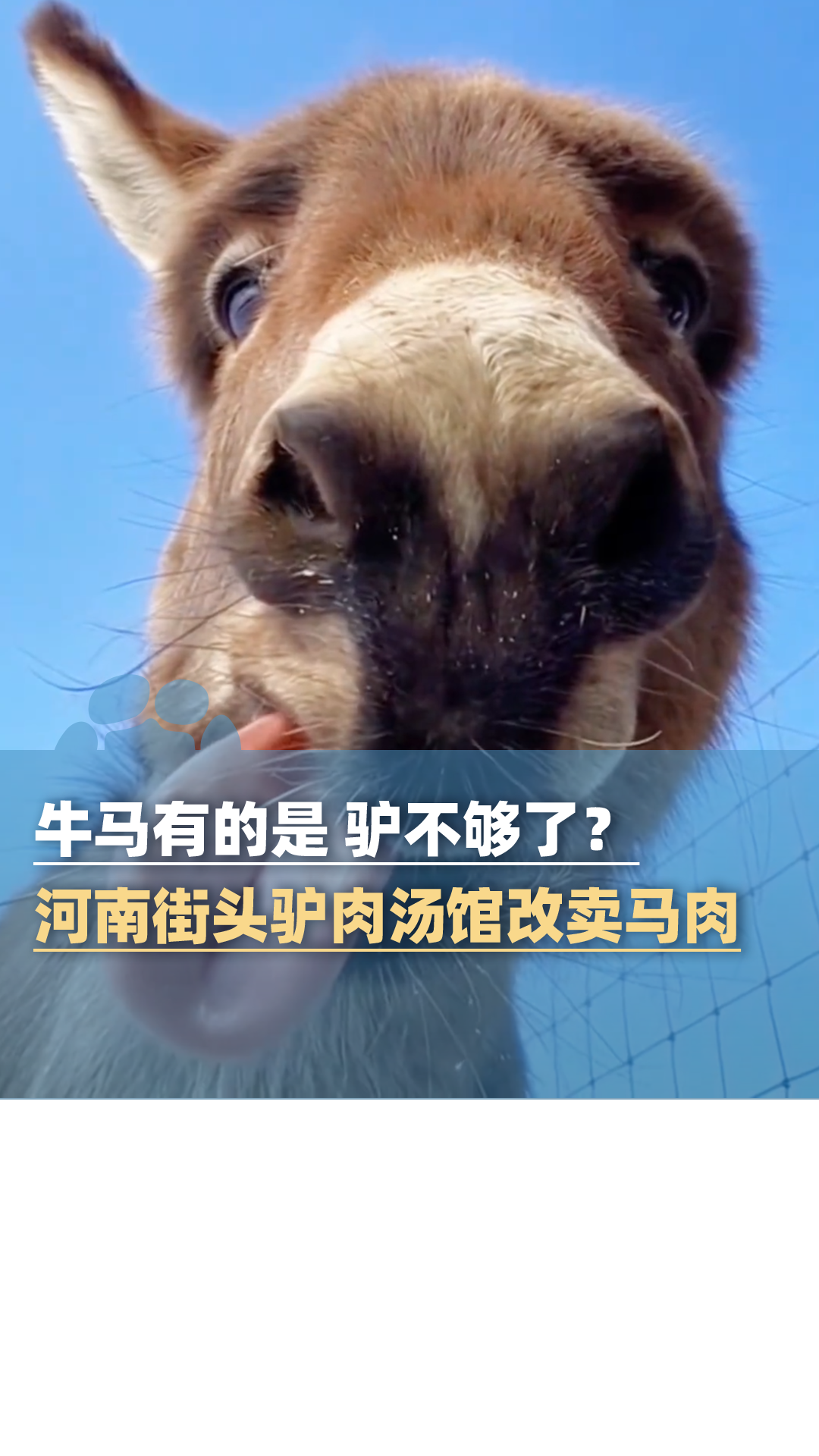 牛马有的是,驴不够了?河南街头多家驴肉汤馆改卖马肉