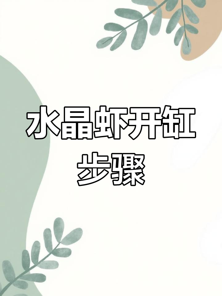 水晶虾开缸全流程,轻松掌握养水技巧