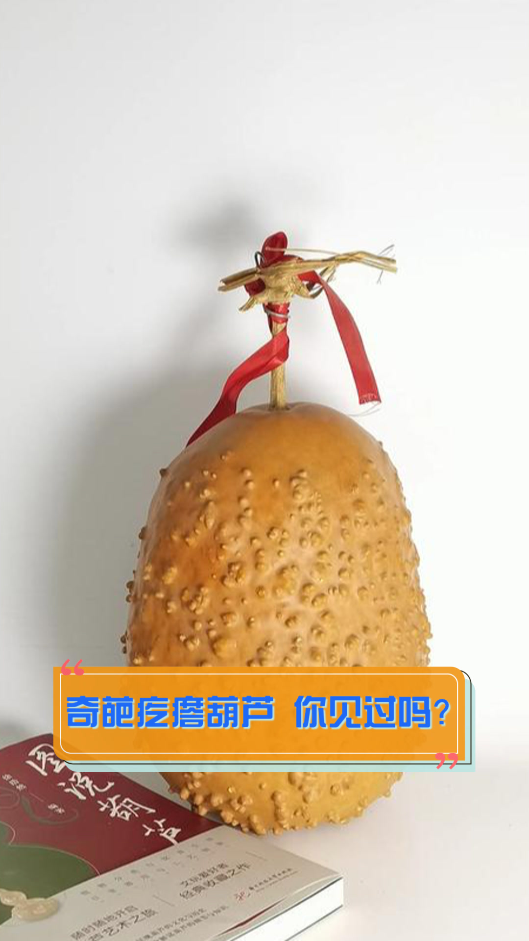 奇葩疙瘩葫芦,你见过吗?