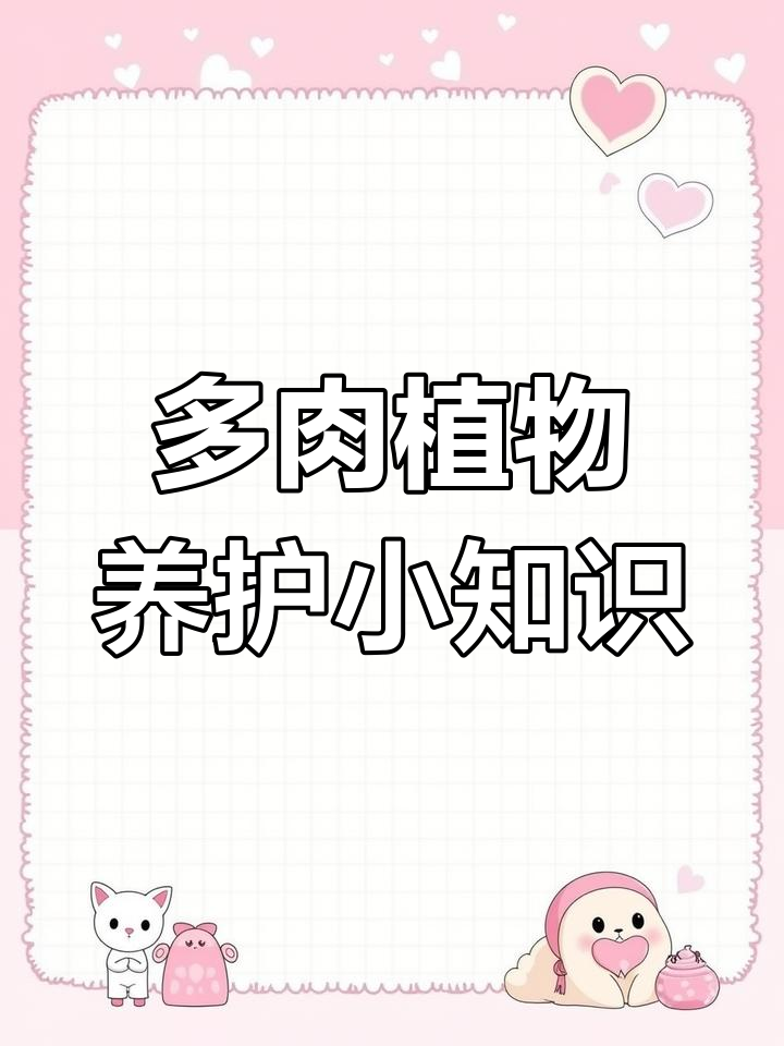 蓝苹果多肉养护技巧:清理干叶片,保持通风