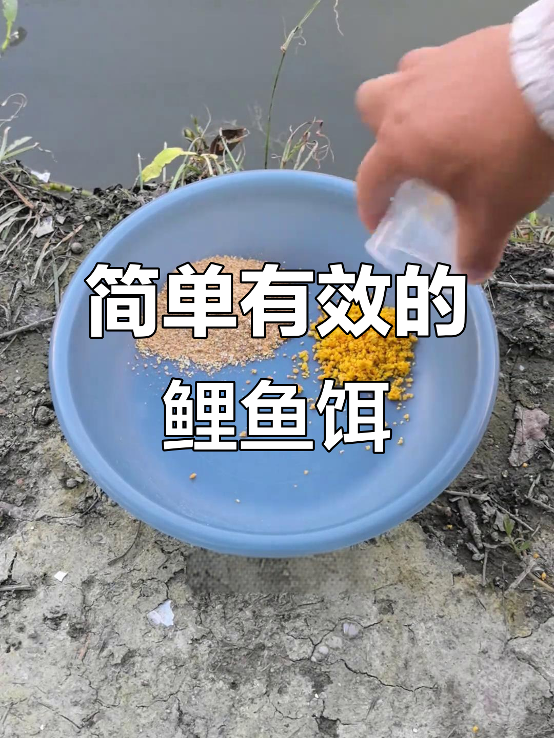 夏季夜钓鲤鱼必备饵料搭配，轻松爆护！