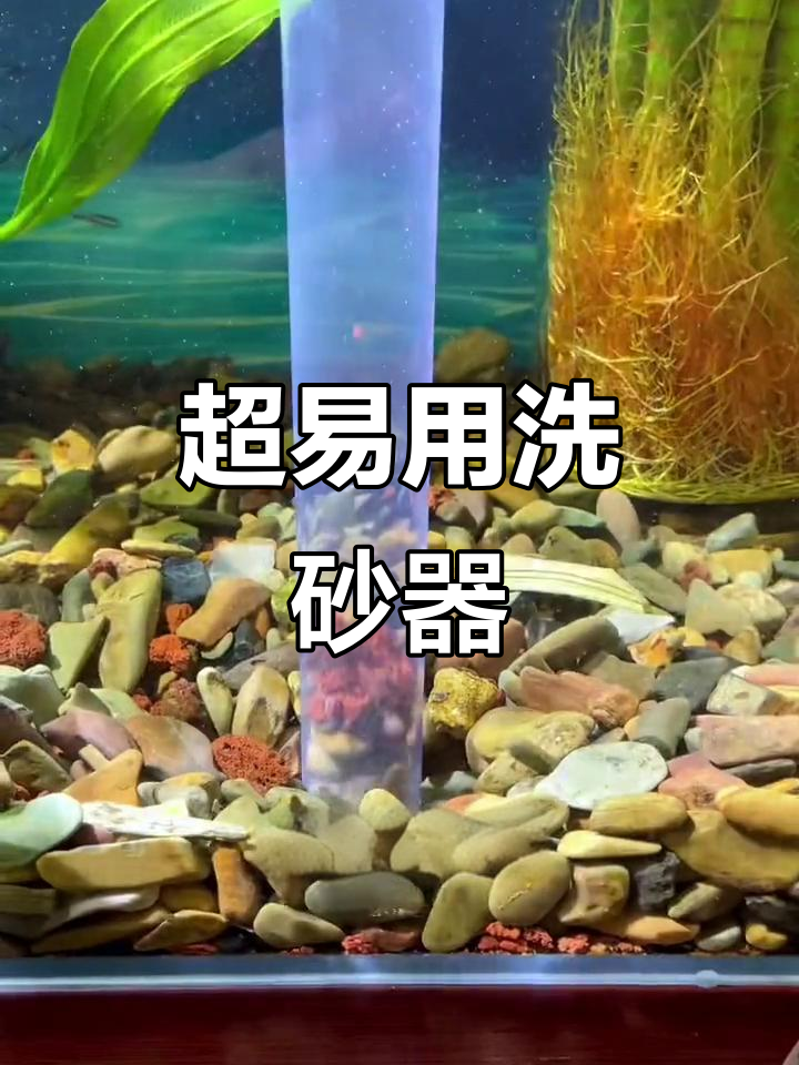 清洗鱼缸底沙,轻松又治愈!这款工具让新手也能搞定
