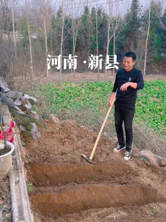 画不到远方，就家门口“作画”，一起把小菜园农活干起来