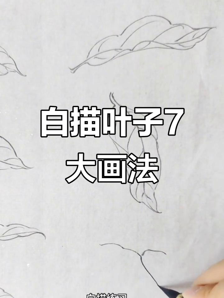 7种常见叶子画法,白描技巧全解析