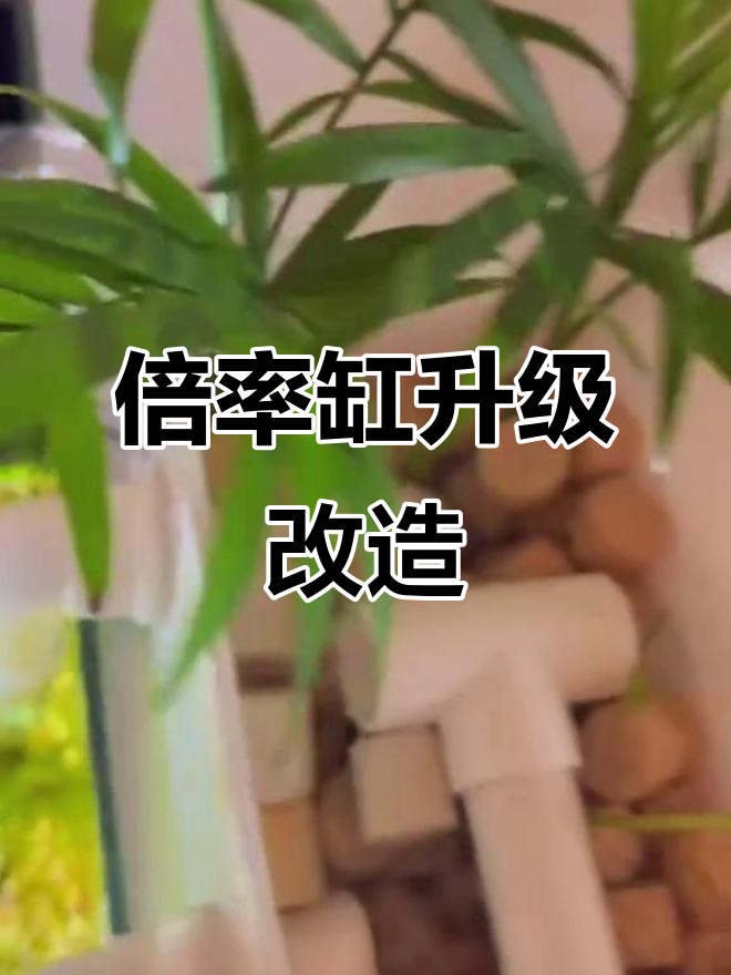 背滤缸大改造,翻倍养鱼更轻松