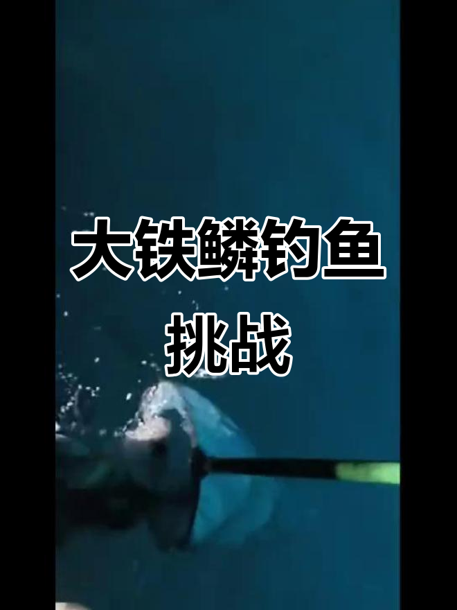 钓到大铁鳞,真是个大惊喜!