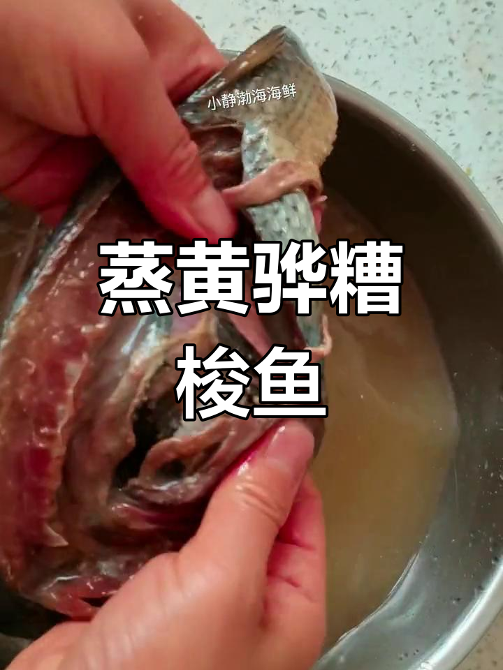 黄骅糟梭鱼的做法,咸香可口带点臭味