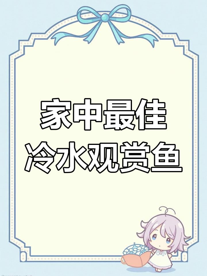 锦鲤:最适合家养的冷水观赏鱼,寓意深刻又好养