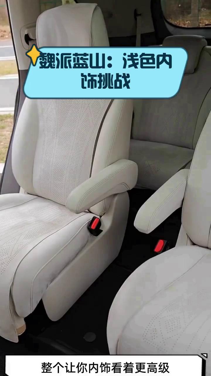 魏派蓝山:浅色内饰挑战